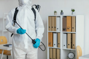 Termite Pest Control Solutions for Gainesville GA Homes