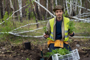 Tree Arborist vs Tree Pruning Service Understanding the Differences