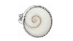 Gomti Chakra