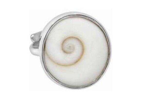 Power of Gomti Chakra for Prosperity and Protection Gomti Chakra