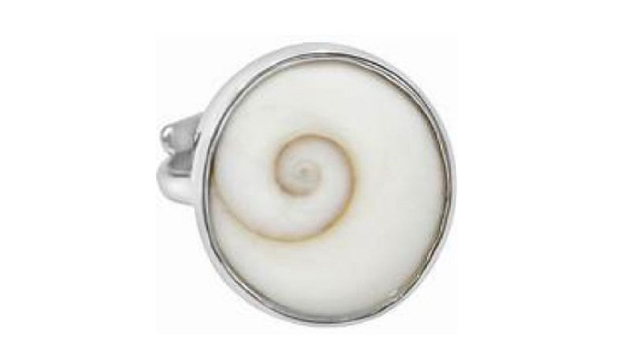 Gomti Chakra