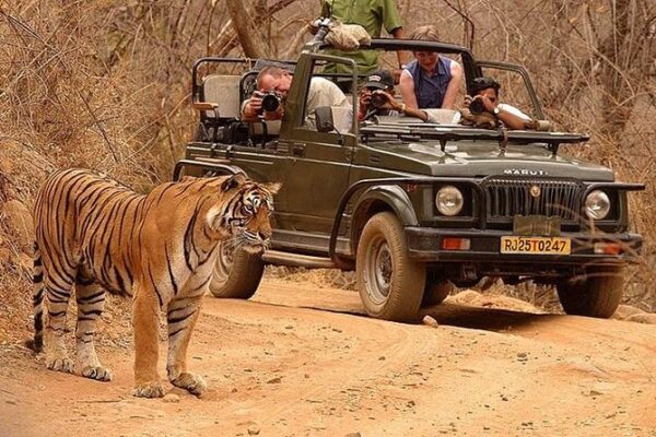 Jhalana for Leopard Sightings