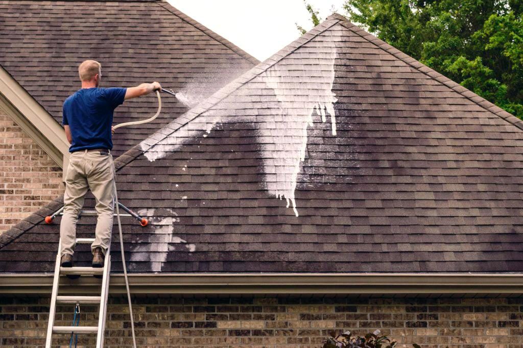 Roof Cleaning Tacoma WA
