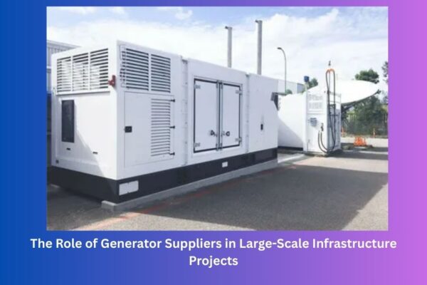The Role of Generator Suppliers in Large-Scale Infrastructure Projects The Role of Generator Suppliers in Large-Scale Infrastructure Projects