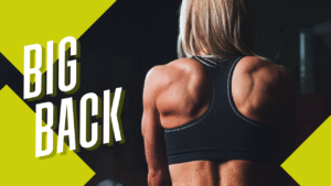 big back meaning