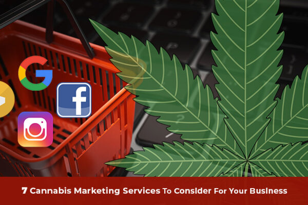 Cannabis Content Writing Services