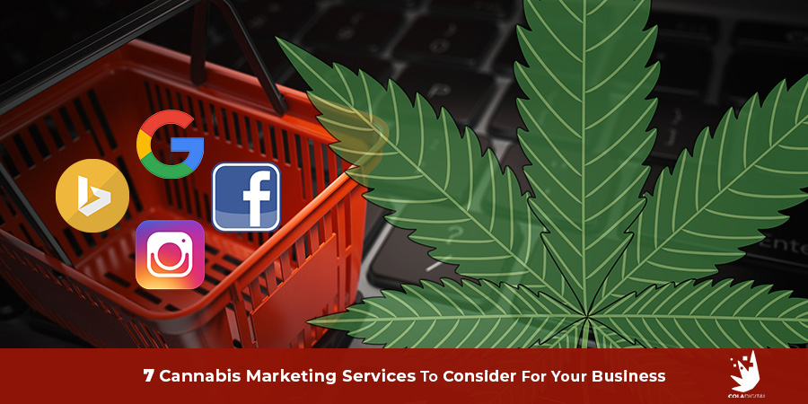 Cannabis Content Writing Services