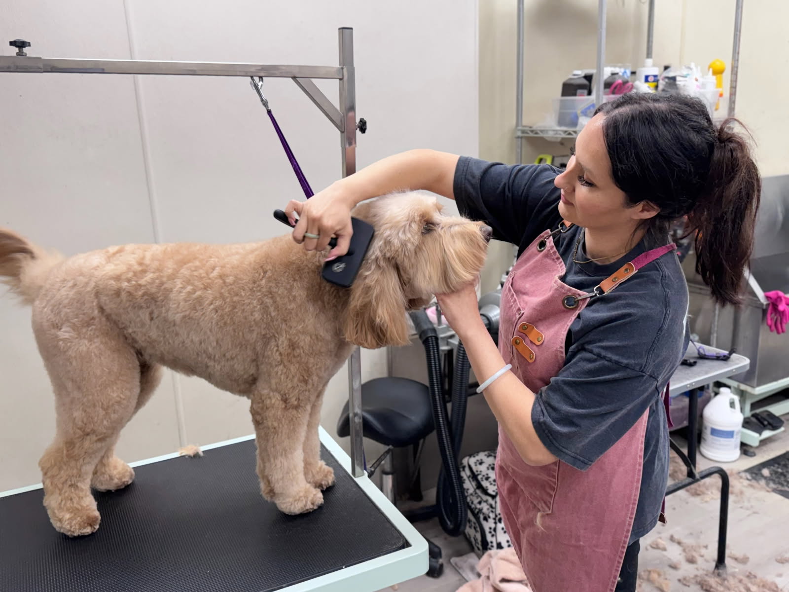 puppy salon san diego