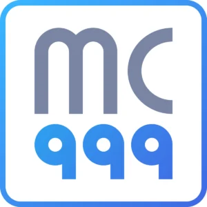 MC999 Ltd – Powering the Future of E-Commerce