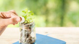 Does Mutual Fund Software for Distributors in India Make Tax Management Easy?