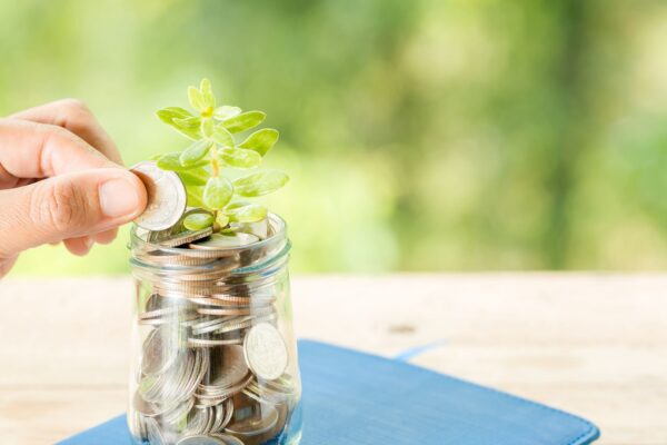 Does Mutual Fund Software for Distributors in India Make Tax Management Easy? Does Mutual Fund Software for Distributors in India Make Tax Management Easy?