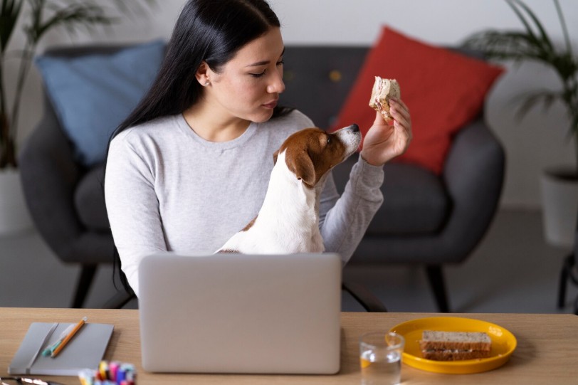 buy pet food in bulk