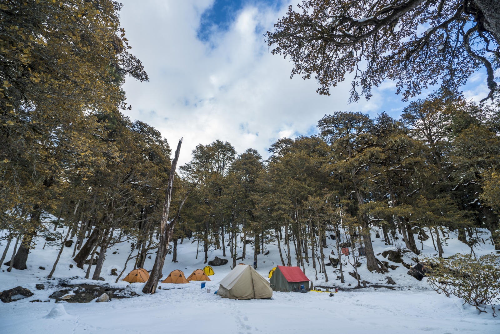 kuari pass trek