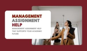 Management Assignment Help That Supports Your Academic Future