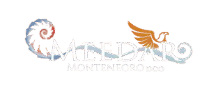 Meedar Montenegro