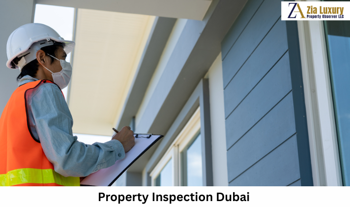 Property Inspection in Dubai