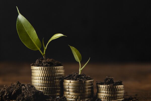 Can You Onboard International Clients Through the Best Wealth Management Platform?