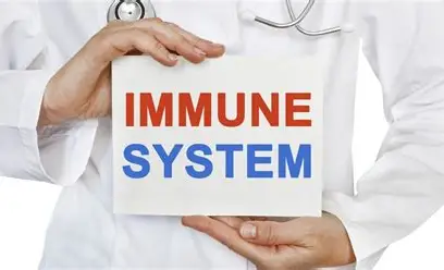Immune system