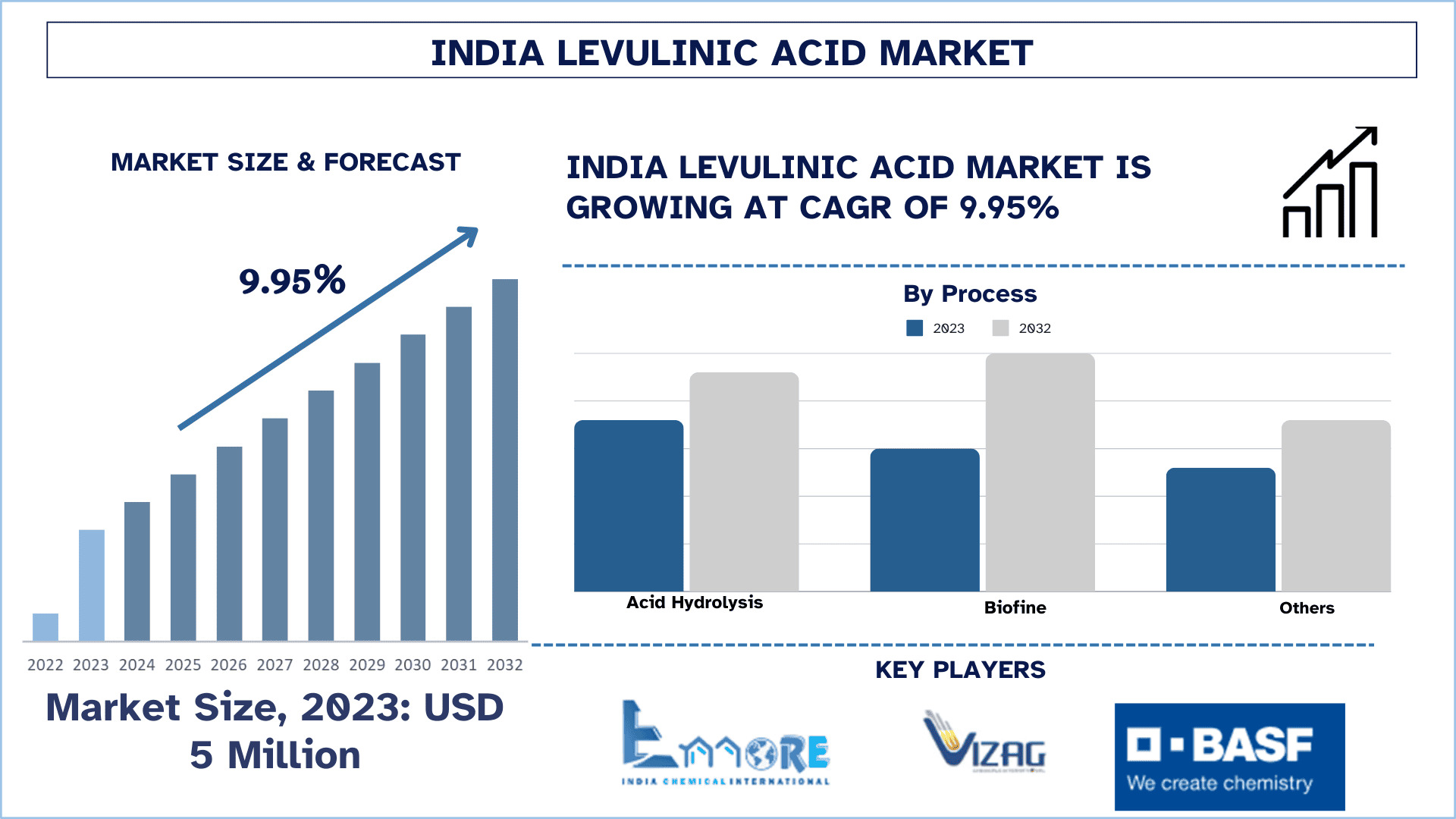 India Levulinic Acid Market