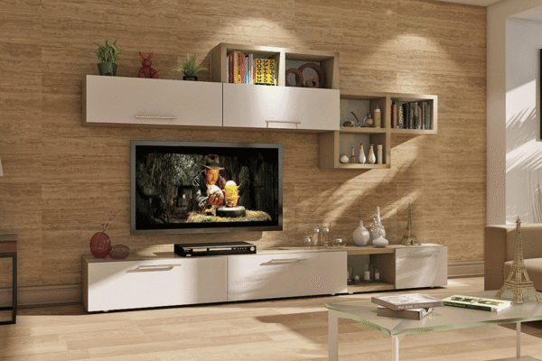 Living room interior designers in hyderabad23