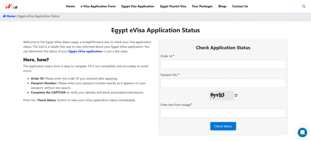 evisa to egypt.info application status 1 1