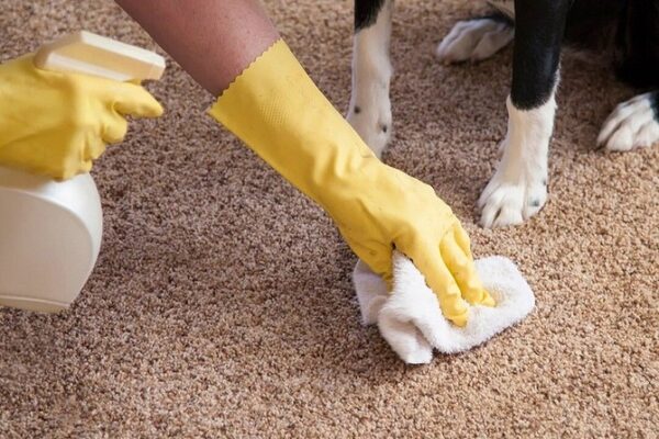 Pet Stain & Odor Removal