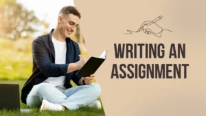 write my assignment